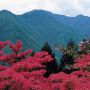 和名倉山（白石山） 標高：2,036ｍ