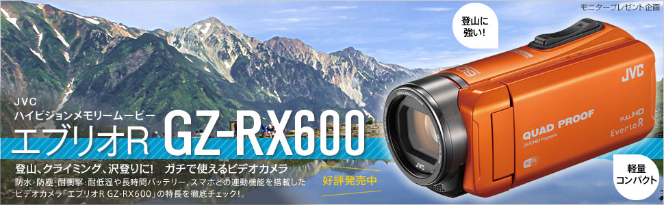 JVC ビデオカメラ/Everio R/GZ-RX600-G